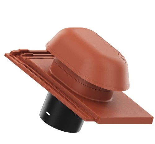 CZERWIEŃ NATURALNA 3.jpg