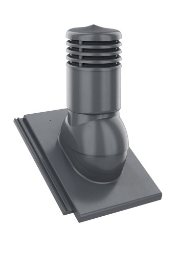 ŁUPKOWY CISAR 1.jpg