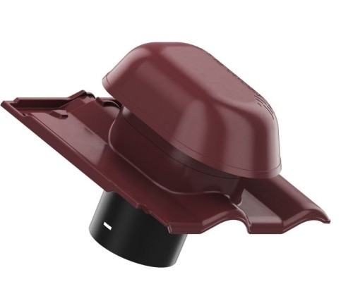 CZERWIEŃ KENIJSKA 3.jpg