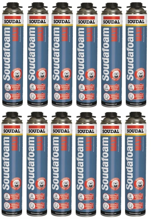 12 x maxi.jpg